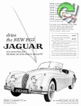 Jaguar 1955 441.jpg